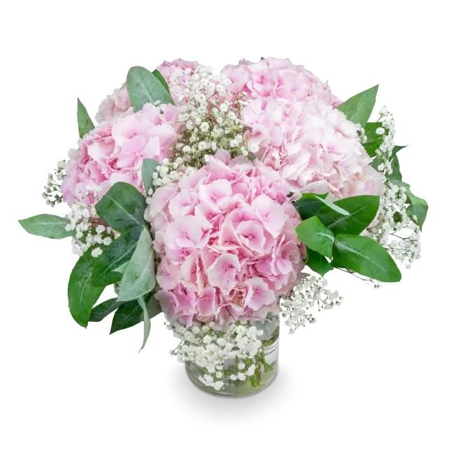 bouquet of hydrangeas